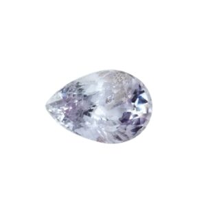 PS0063