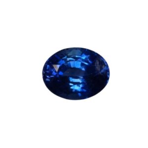 BS0061